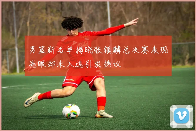 男篮新名单揭晓张镇麟总决赛表现亮眼却未入选引发热议